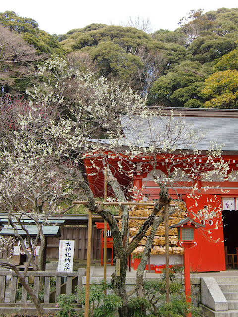 �`���V�_�ЁF�Ñ��