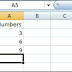 Enter text and numbers in a Cell - M.S. Excel Tutorials - Science Tutor