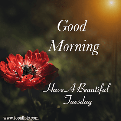 good morning tuesday images good morning tuesday images