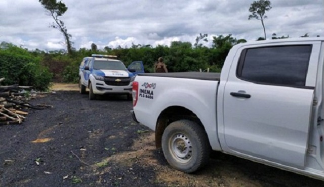Operação do Inema combate desmatamento ilegal da Mata Atlântica na zona rural