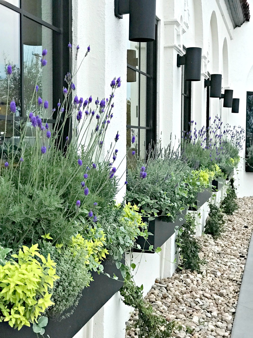 flowers in flower baskets outside of window