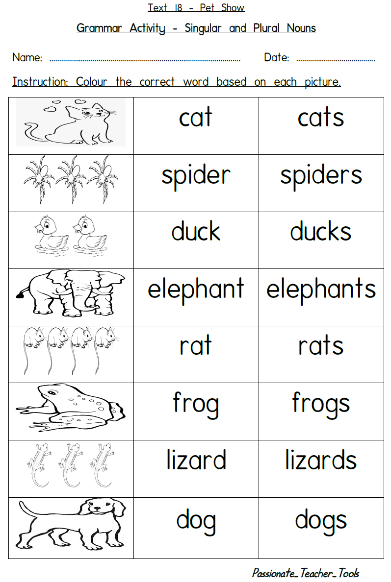 Passionate Teacher Tools Text 18 Pet Show (With Suggested Activities)