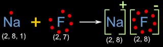 Ionic bond between sodium ion and fluorine ion in sodium fluoride