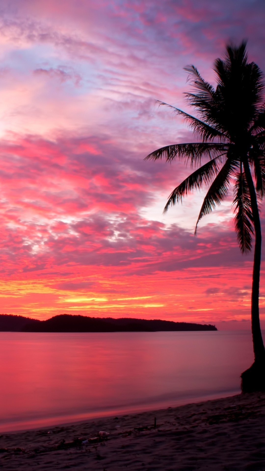 Coconut Tree Beach Sunset