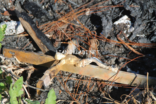 IMG 7179 | Lamianow.gr