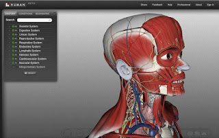 شرح Biodigital human لرؤية الانسان وهو هيكل عظمى واضافة اللحم له - See the skeleton HD