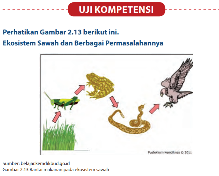 Jawaban Uji Kompetensi Bab 2 Ipa Kelas 7 Halaman 44 46 Bastechinfo Jawaban Uji Kompetensi Bab 2 Ipa Kelas 7 Halaman 44 46 Bastechinfo