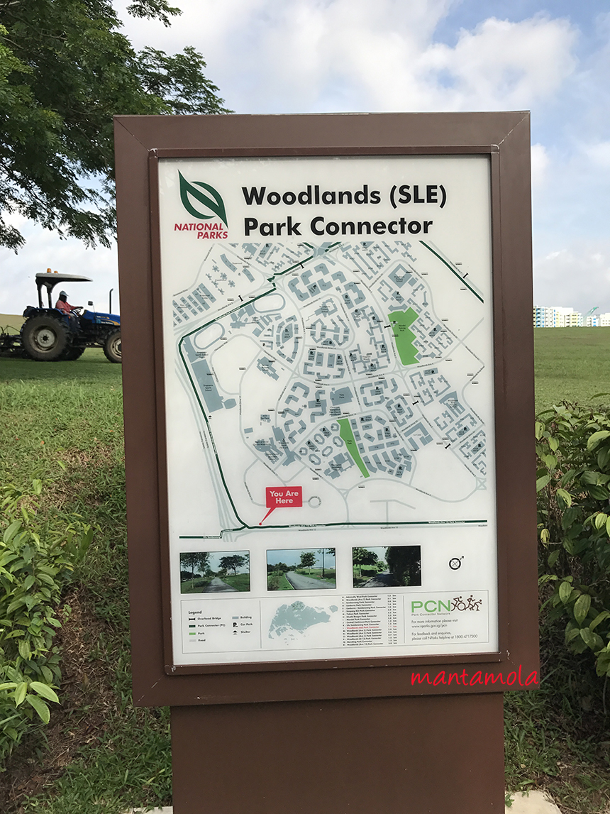 manta blog Park Connector at the North