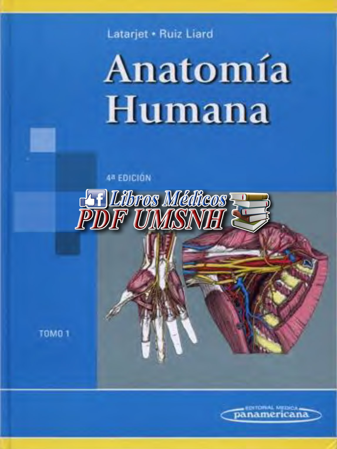 anatomia humana pdf