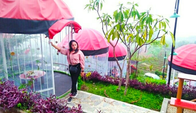 Dowes29.com: Alamat lokasi Pondok Pinus Kuningan Harga ...