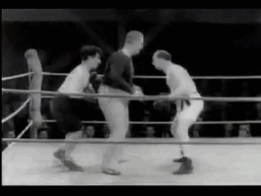 boxe%2Bchaplin%2Bsoco.gif