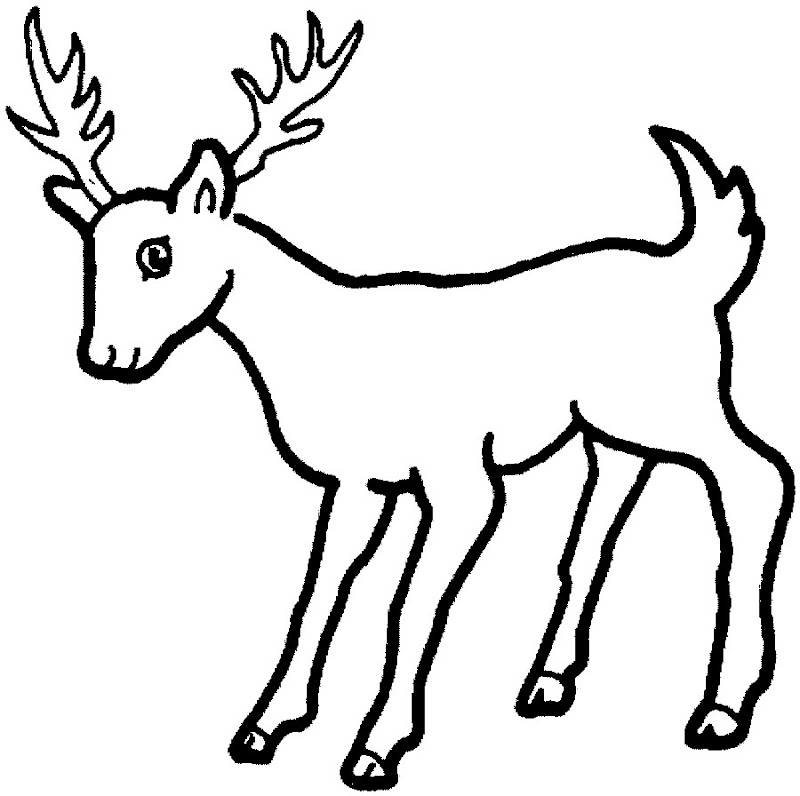 For Education New Animal Deer Coloring Pages title=