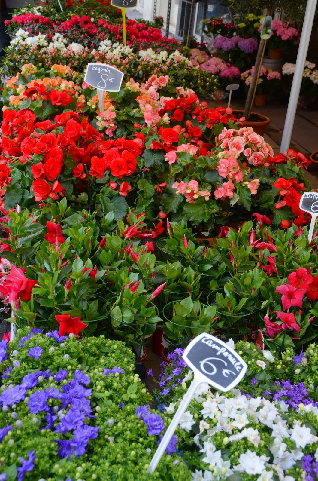 Paris and Beyond: Les fleurs de Paris