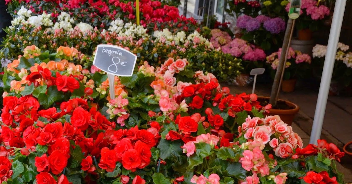 Paris and Beyond: Les fleurs de Paris