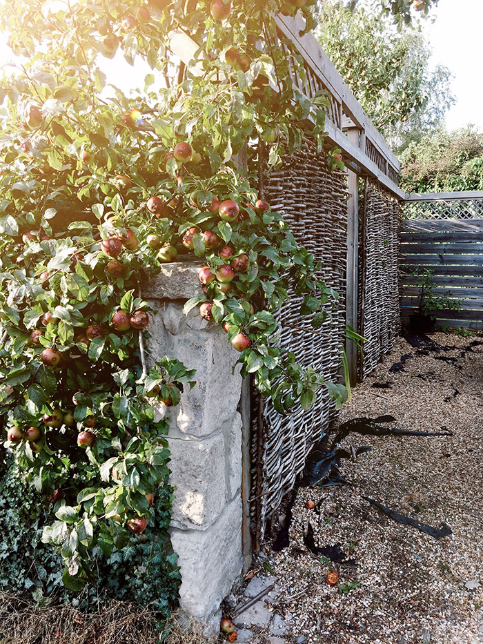 News | Life Lately: A Move to the English Countryside