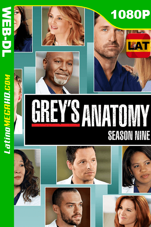 Anatomía según Grey (2012) Temporada 09 Latino HD WEB-DL 1080P ()