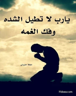 صور حلوه