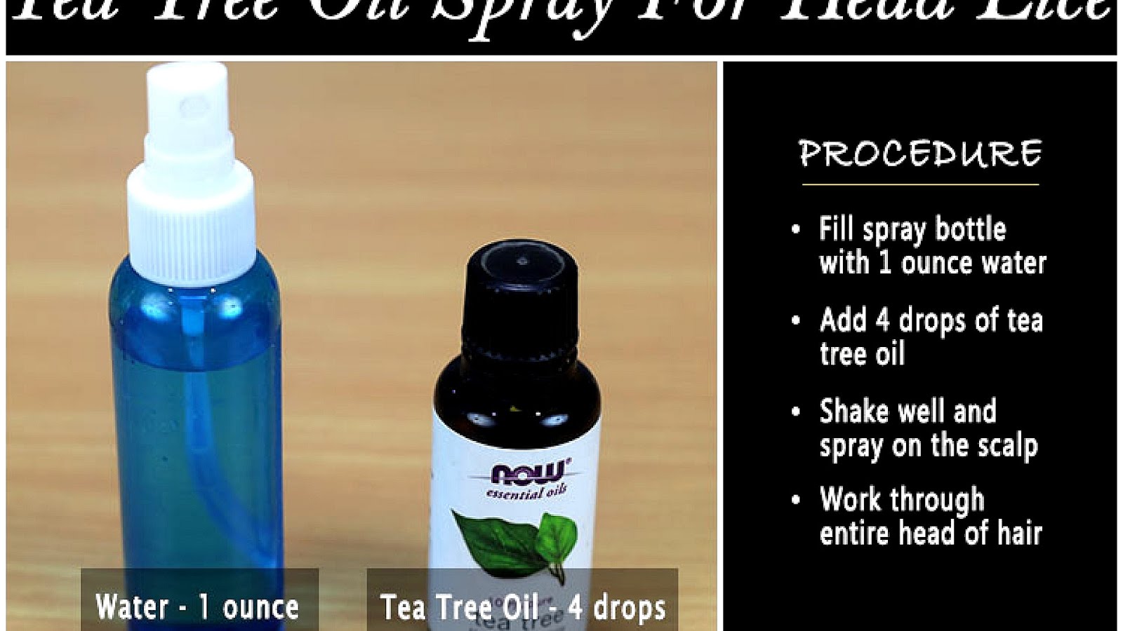 Treating Lice With Tea Tree Oil Tree Choices