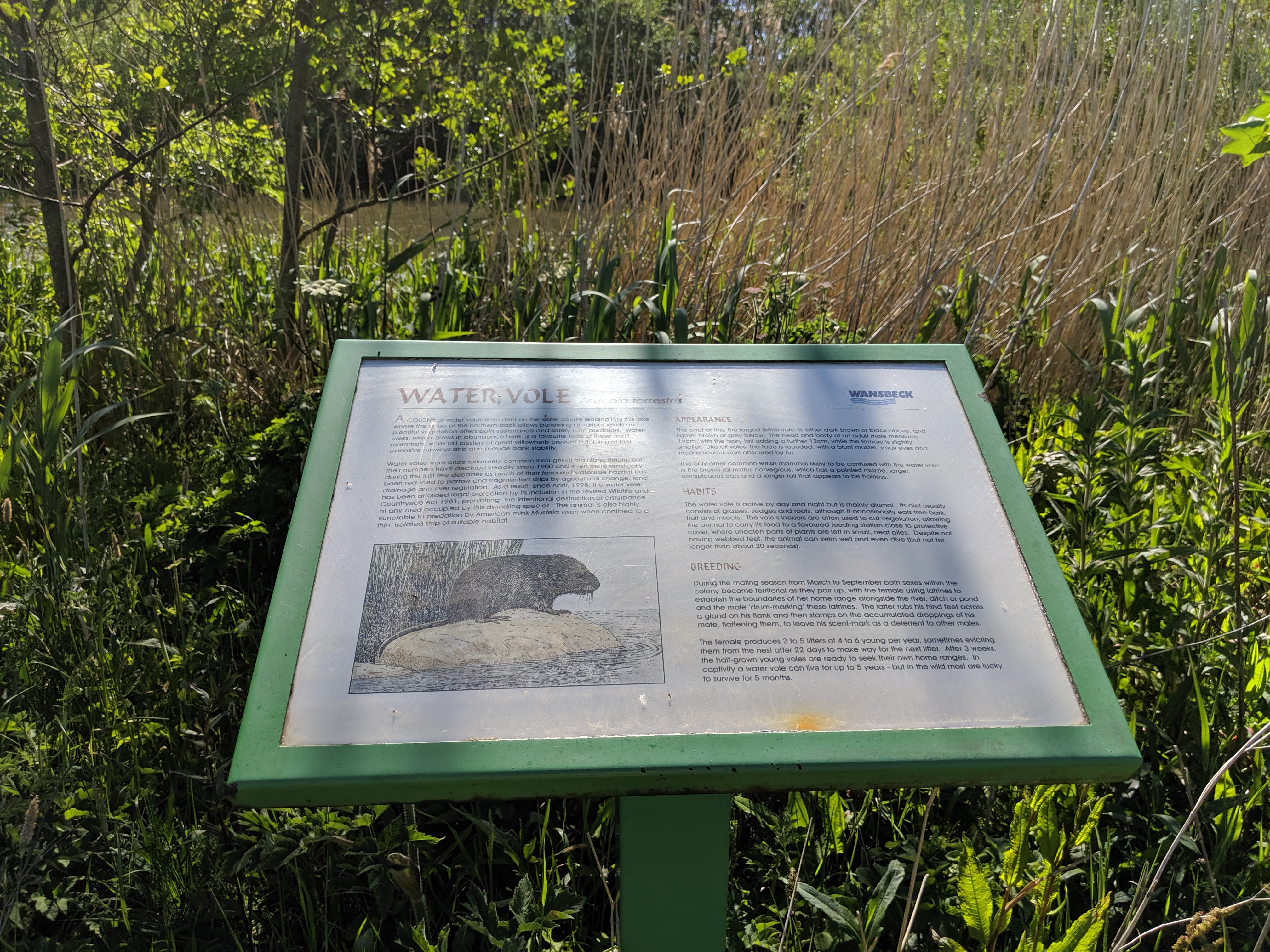 Queen Elizabeth II Country park walk water vole
