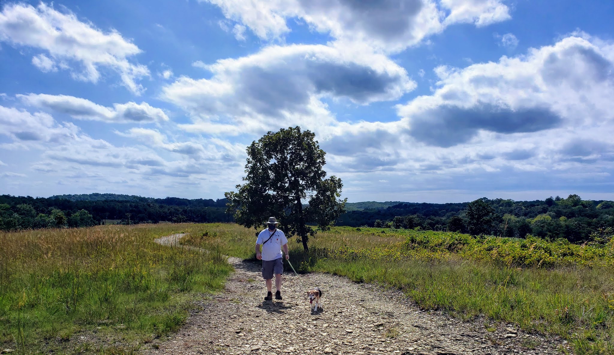 MidAtlantic DayTrips Hiking the Serpentine Loop in Soldiers Delight NEA
