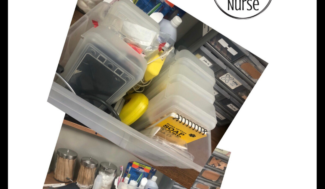 Diary Of A School Nurse EMERGENCY BAG UPDATE