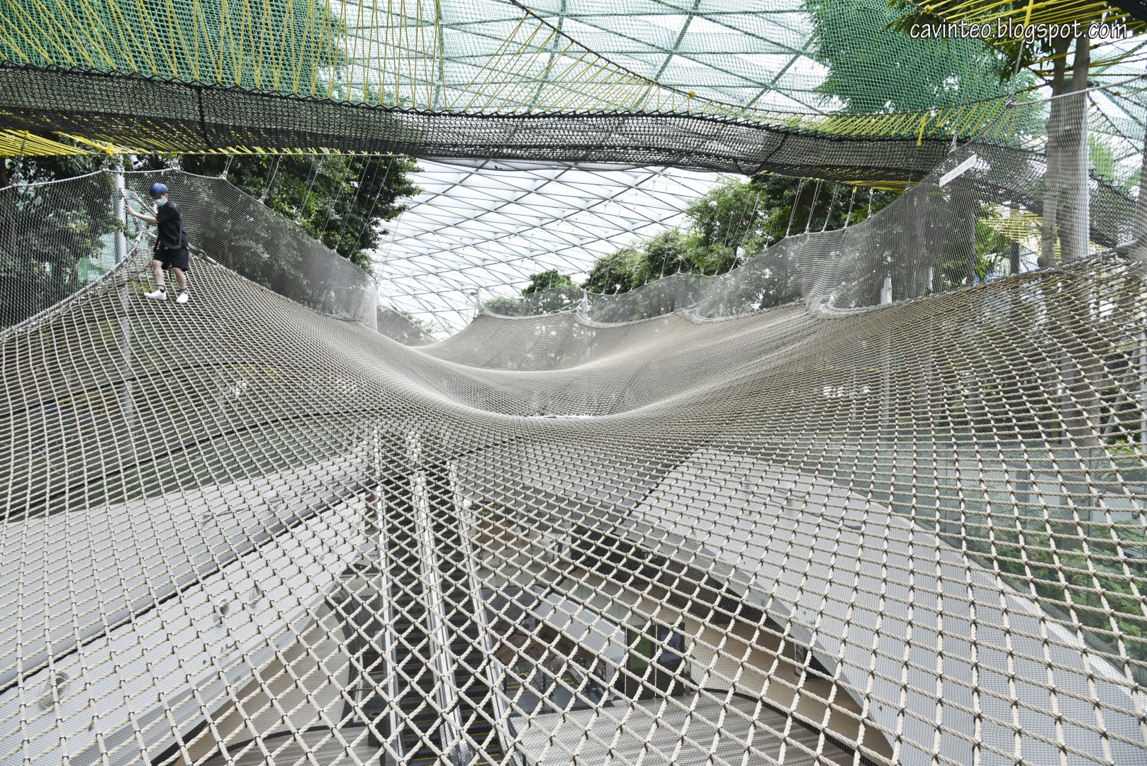 Entree Kibbles Manulife Sky Nets (Walking) Challenge Your Fear for