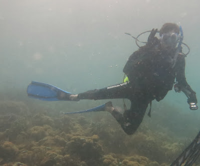 Menikmati alam bawah laut dengan melakukan penyelaman