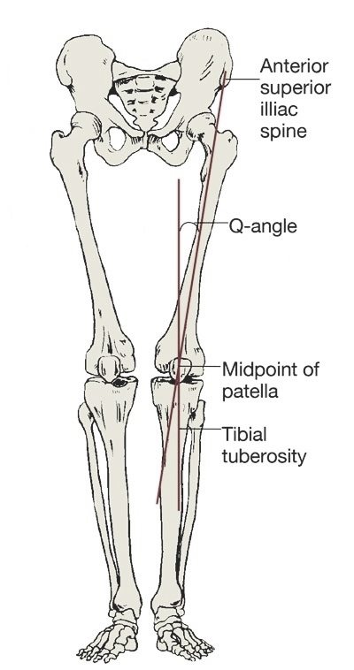 угол q нижних конечностей. угол q нижних конечностей. измерение q угла колени. угол q надколенник. угол q коленного сустава.
