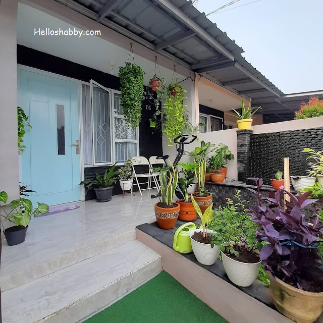 6 Teras Rumah Minimalis Dengan Tanaman Gantung yang Indah Dipandang