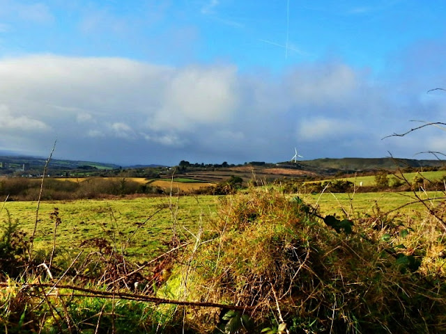 Looking across fields in Cornwall