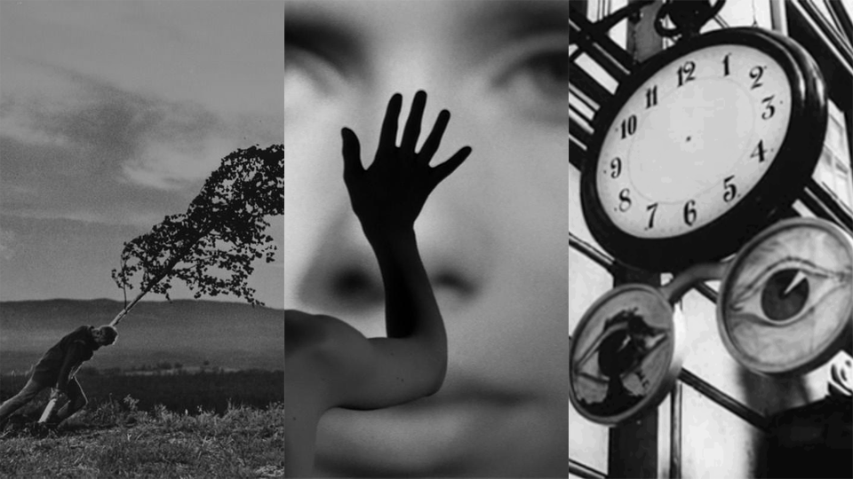 прямо противоречащие