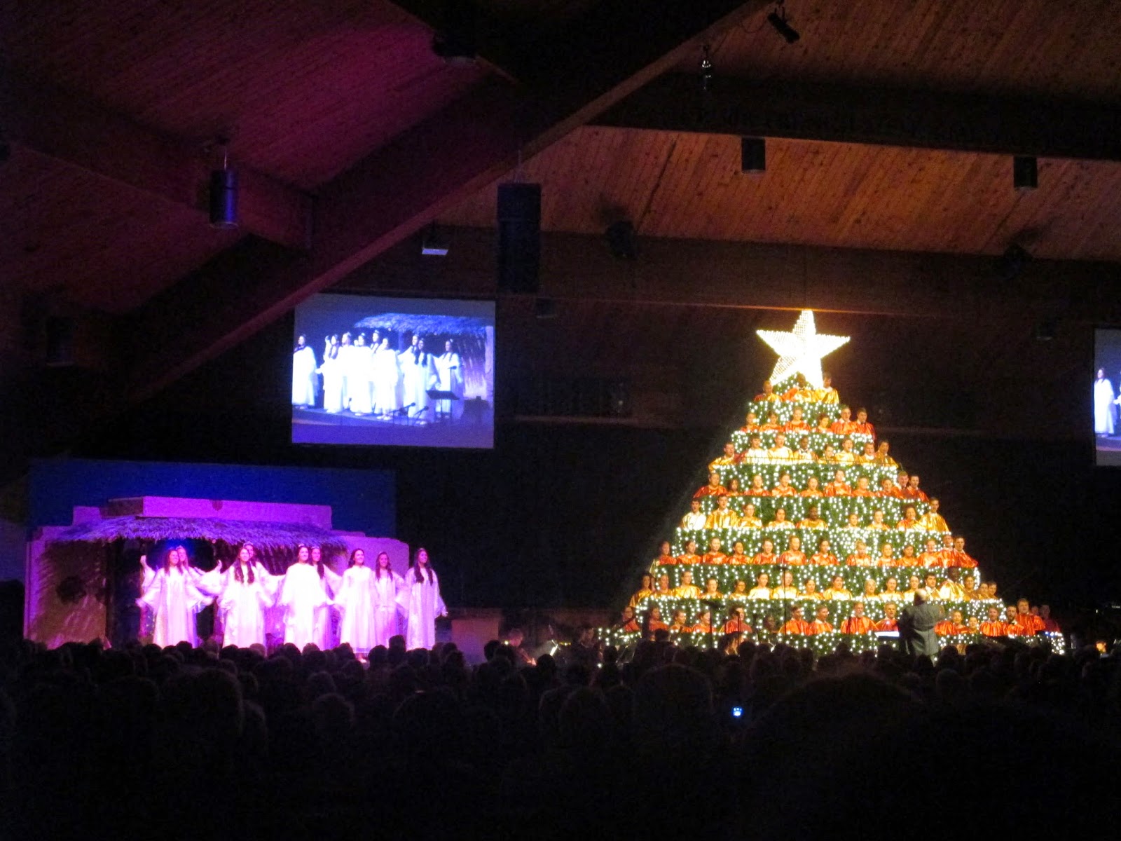 Living the Tropical Life Singing Christmas Tree