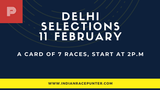 Delhi Race Selections 11 February, India Race Tips by indianracepunter, Delhi Race Selections by indianracepunter