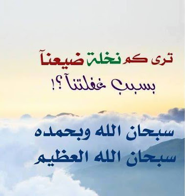 shof_c38fe16bbaaf76f