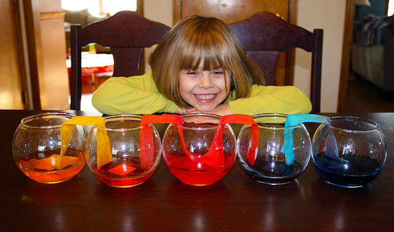 Ребенок показывает опыт. Экспериментирование с водой. Эксперименты для детей. Стакан с разноцветной водой. Экспериментирование с красителями.