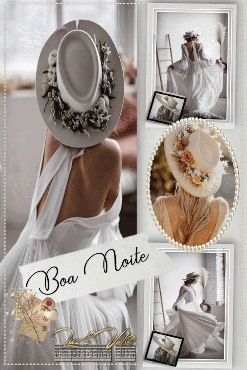NOVO206-%2528MB%2529maryluz.gif