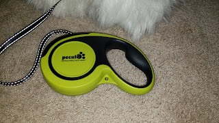 My dog's first dog leash