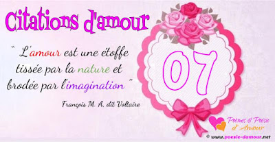 Citation de voltaire sur l'amour