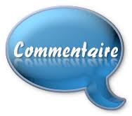 REDIGEZ VOTRE COMMENTAIRE