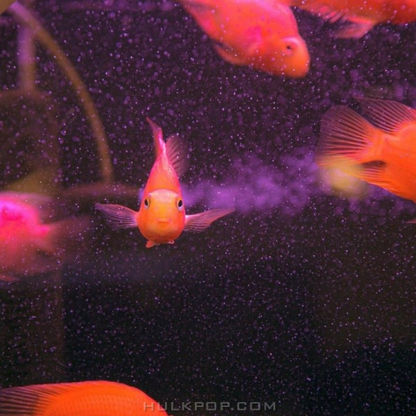 Myeong E-Wol – Aquarium – EP