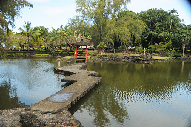 The Highs and Lows of Hilo Hawaii Big Island Trailblazer recommendation