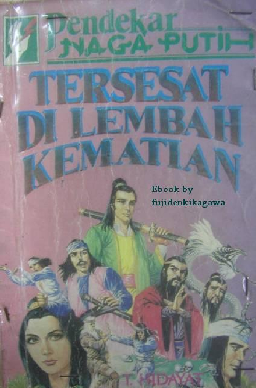 Cerita silat serial Pendekar Naga Putih