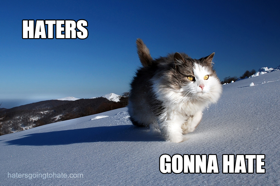 haters-gonna-hate-cat-snow.jpg