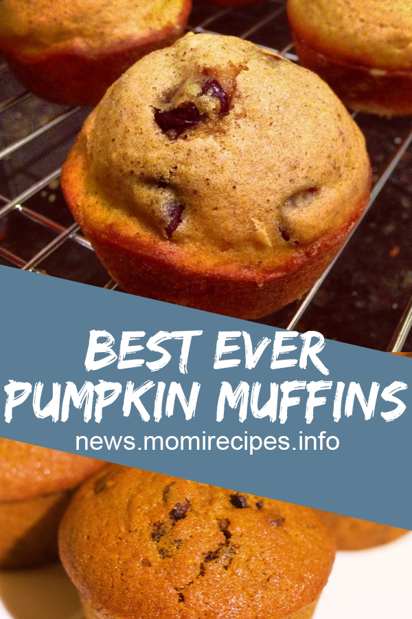 Best ever pumpkin muffins | cake recipe, dessert recipes, chocolate cake recipe, carrot cake recipe, chocolate cake, easy cake recipes, cheesecake recipe, easy dessert recipes, baking recipes, sponge cake recipe, simple cake recipe, fruit cake recipe, vanilla cake recipe, pound cake recipe, chocolate recipes, apple cake recipe, cake recipes from scratch, butter cake recipe, birthday cake recipes, cupcake recipe,sweet recipes,banana cake recipe. #pumpkin #muffins #almond #flour #cake Best ever pumpkin muffins | cake recipe, dessert recipes, chocolate cake recipe, carrot cake recipe, chocolate cake, easy cake recipes, cheesecake recipe, easy dessert recipes, baking recipes, sponge cake recipe, simple cake recipe, fruit cake recipe, vanilla cake recipe, pound cake recipe, chocolate recipes, apple cake recipe, cake recipes from scratch, butter cake recipe, birthday cake recipes, cupcake recipe,sweet recipes,banana cake recipe. #pumpkin #muffins #almond #flour #cake