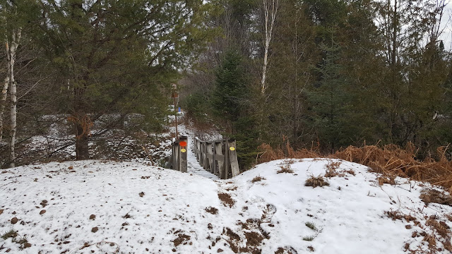 Sentier autour du lac Perreault