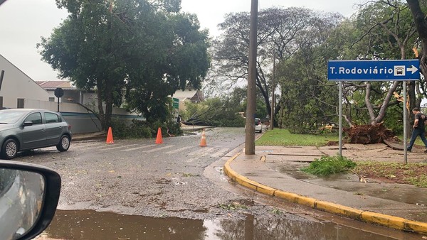 Temporal e chuva de granizo causam estragos em municípios do Pontal do Paranapanema Temporal e chuva de granizo causam estragos em municípios do Pontal do Paranapanema