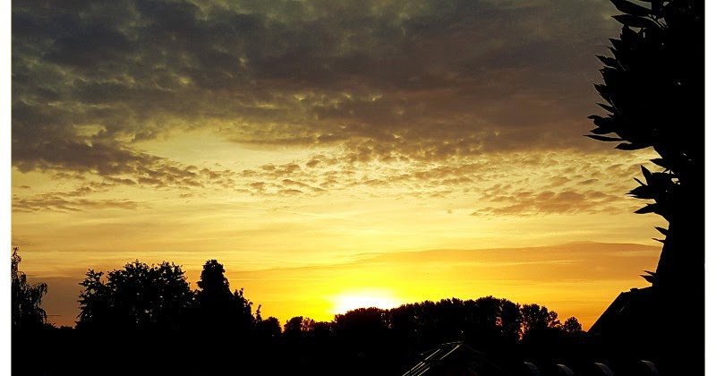 Nunu S Garn Und Stofflabor Ein Goldener Morgen Und Liebe Sommer