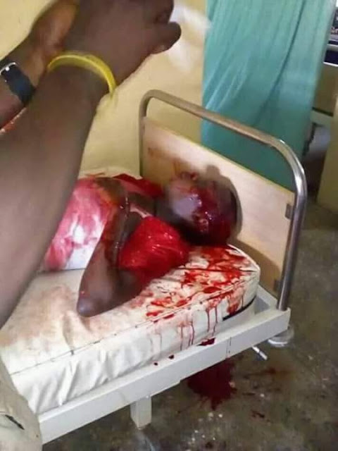 Four Federal University of Agriculture students die after fatal accident inside their campus