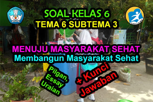 45 Soal Kelas 6 Tema 6 Subtema 3 Membangun Masyarakat Sehat Jawaban Muttaqin Id