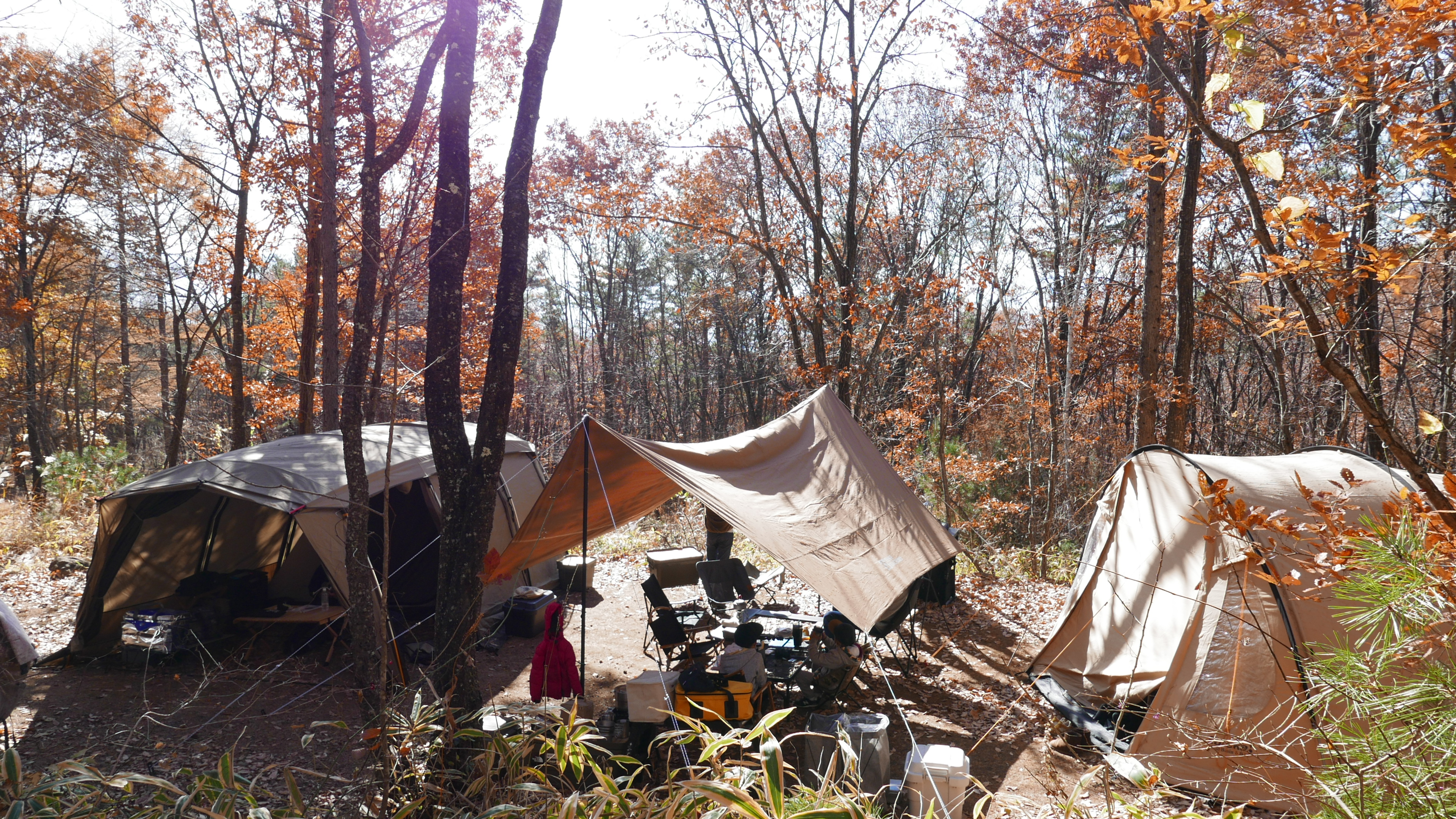 全てはカタチから acnあさまの森オートキャンプ場 2020 11 14 15